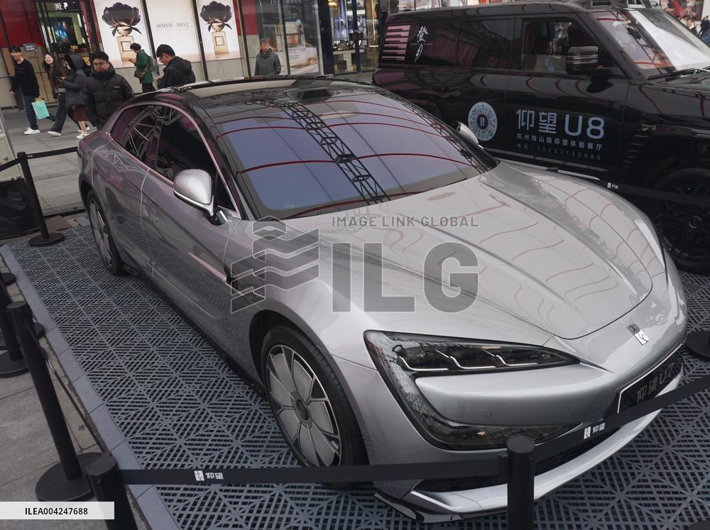 BYD YANGWANG U7 Model