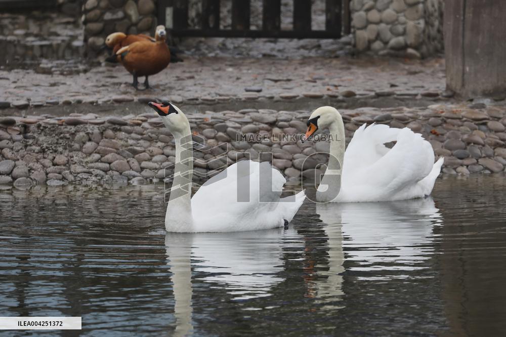 Kharkiv Zoo celebrates International Bird Day