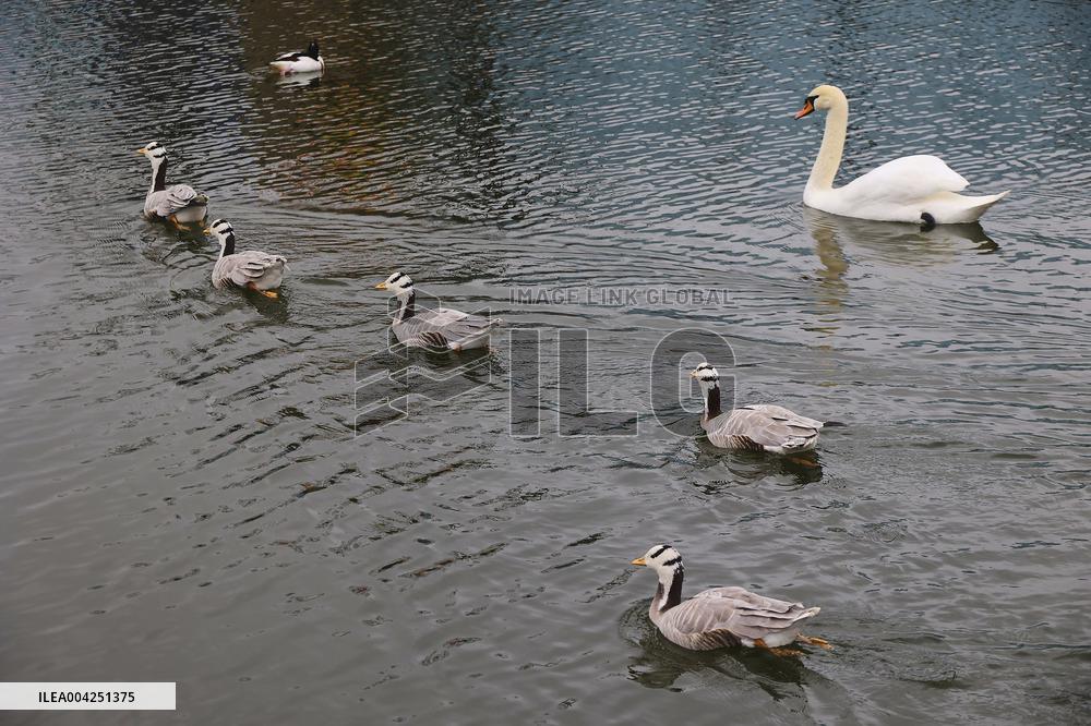 Kharkiv Zoo celebrates International Bird Day