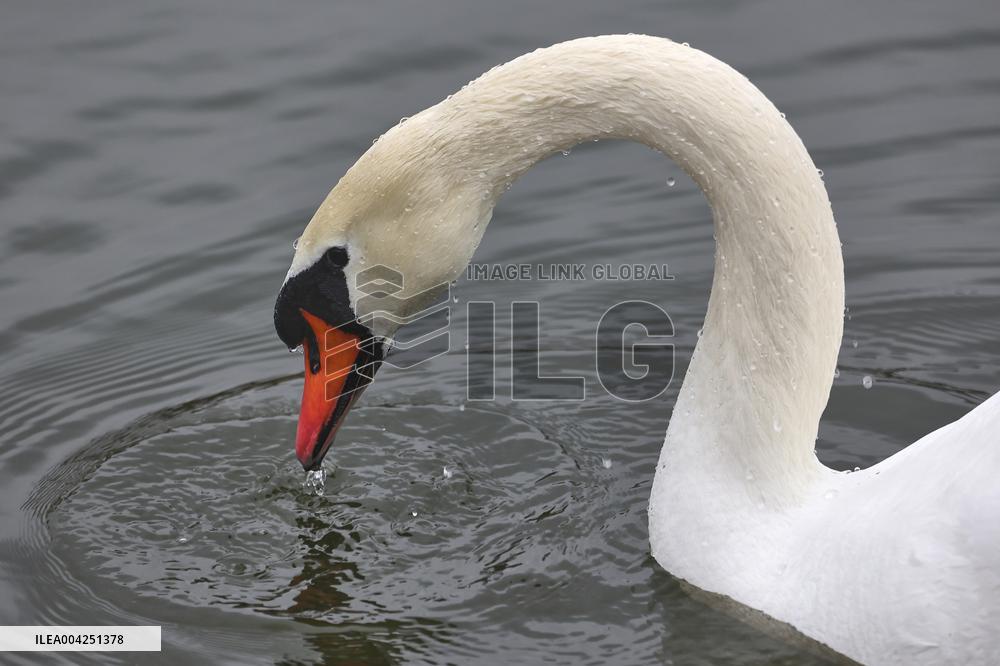 Kharkiv Zoo celebrates International Bird Day