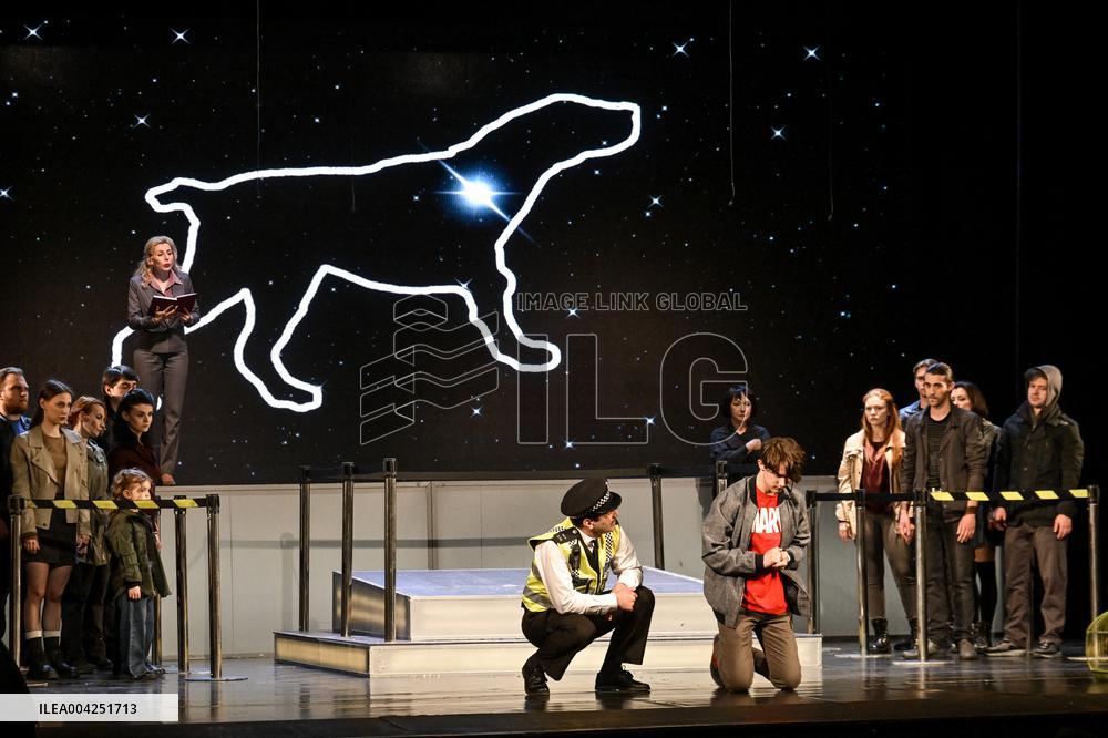 Mysterious Night Murder of a Dog play premieres in Zaporizhzhia