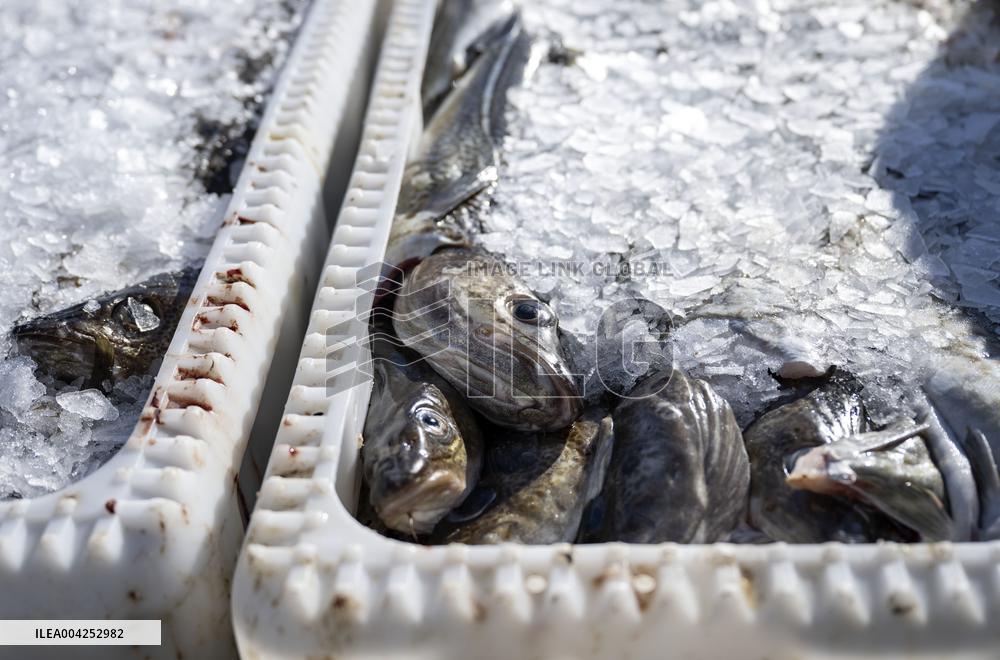DAILY LIFE NUUK GREENLAND