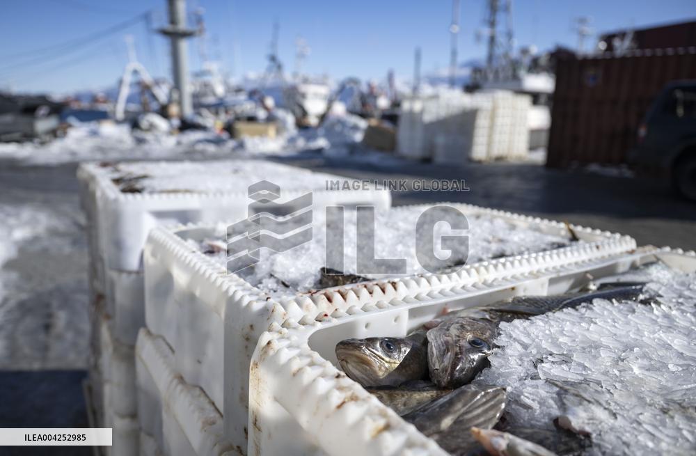 DAILY LIFE NUUK GREENLAND