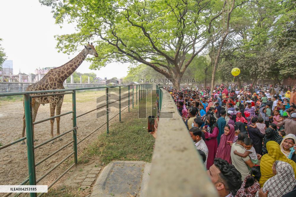Eid al-Fitr Celebration in Dhaka