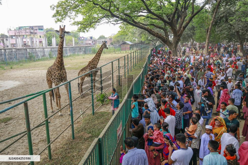 Eid al-Fitr Celebration in Dhaka