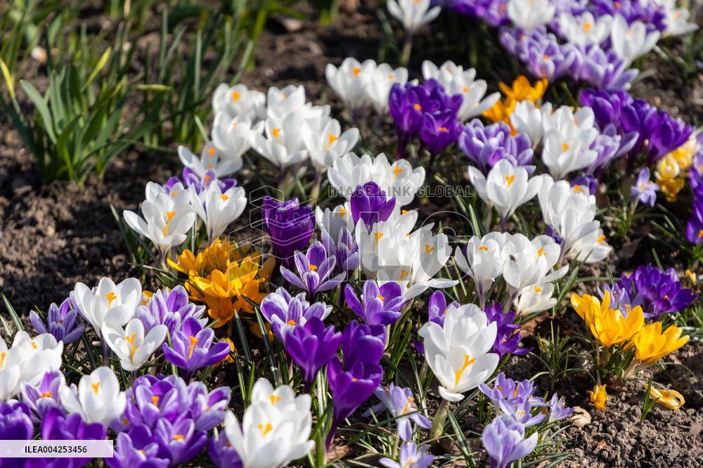 The arrival of Spring