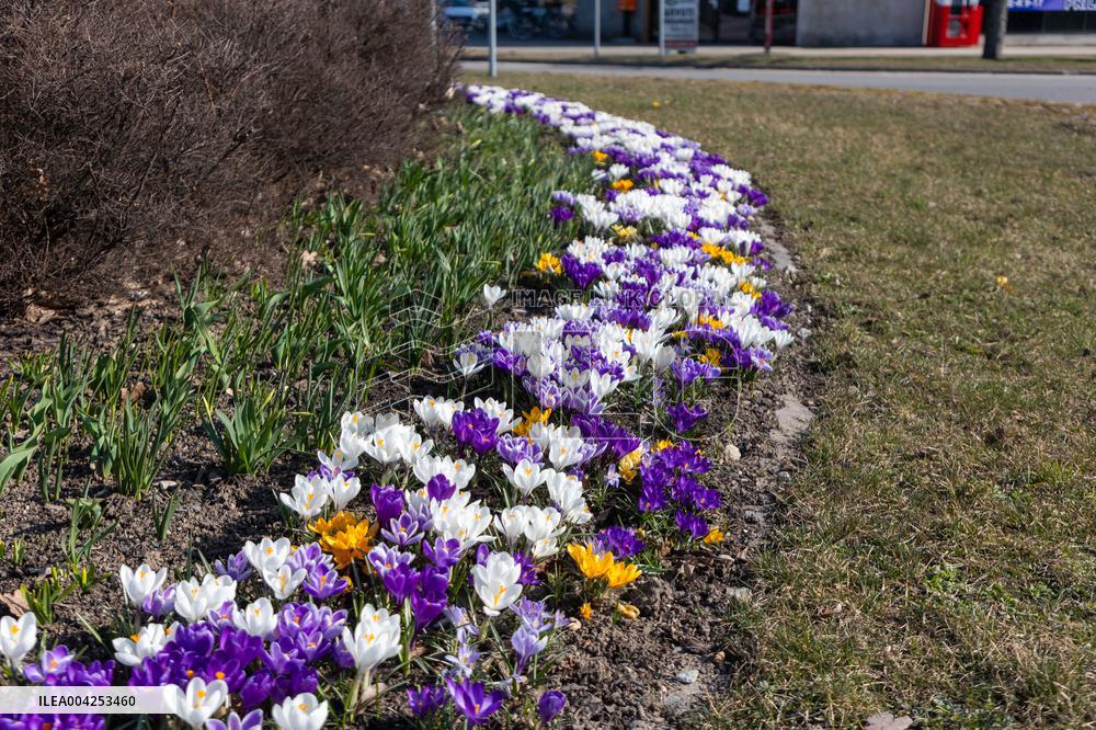 The arrival of Spring