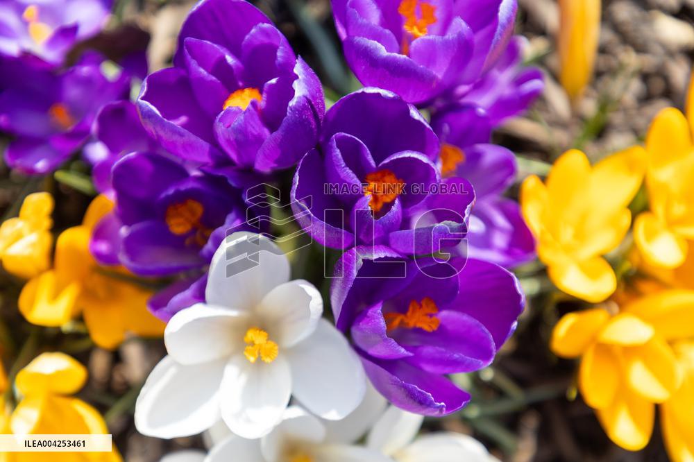 The arrival of Spring