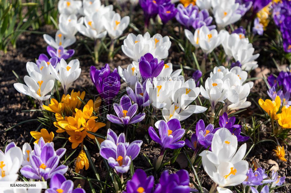 The arrival of Spring