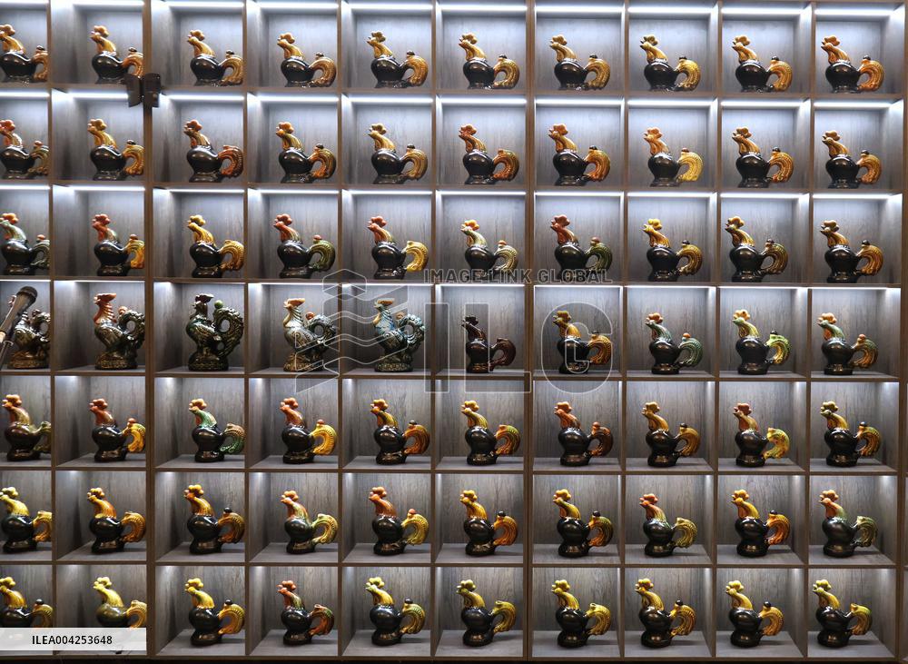 Exhibition of cockerels by Vasylkiv majolica plant