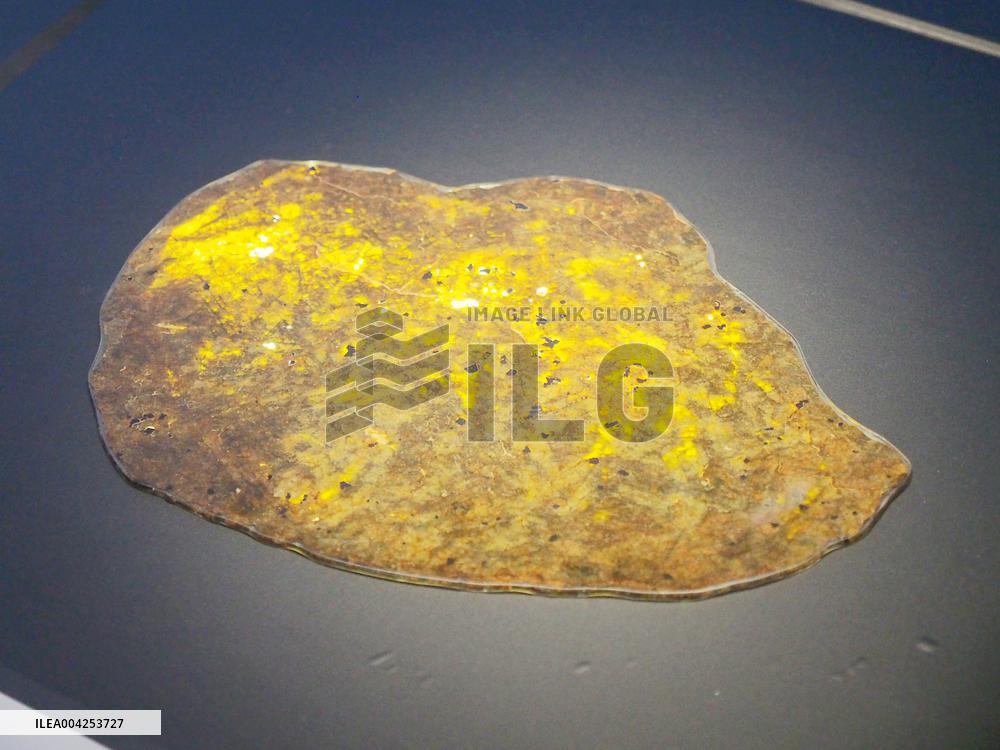 China Lunar Exploration Project 20 Years Exhibition in Beijing