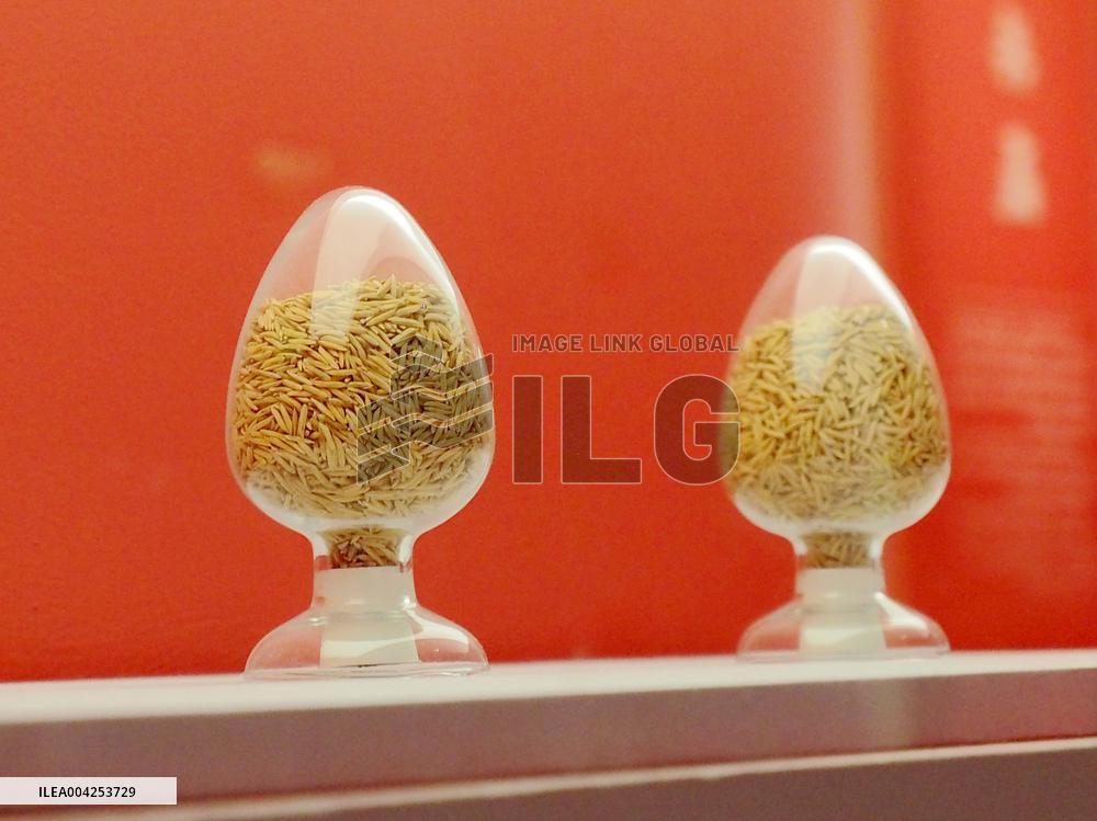 China Lunar Exploration Project 20 Years Exhibition in Beijing