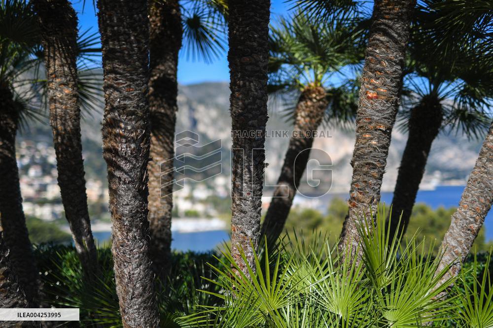 Illustration - City of Nice - France