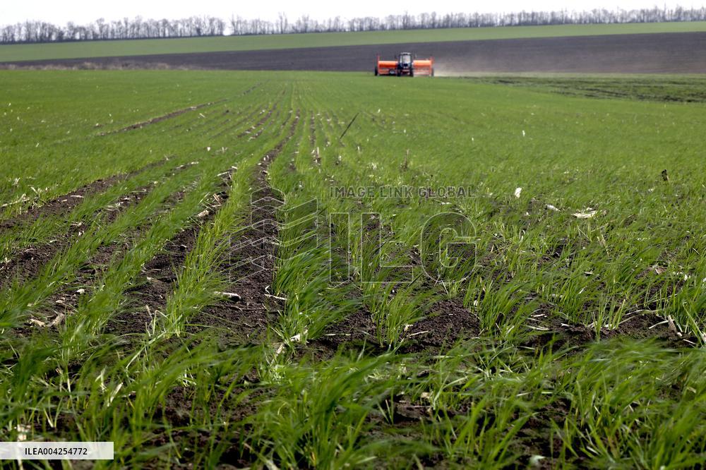 Farming in Kharkiv region despite Russian shelling