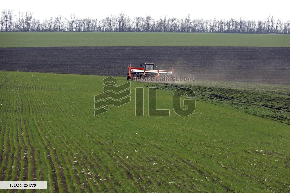 Farming in Kharkiv region despite Russian shelling