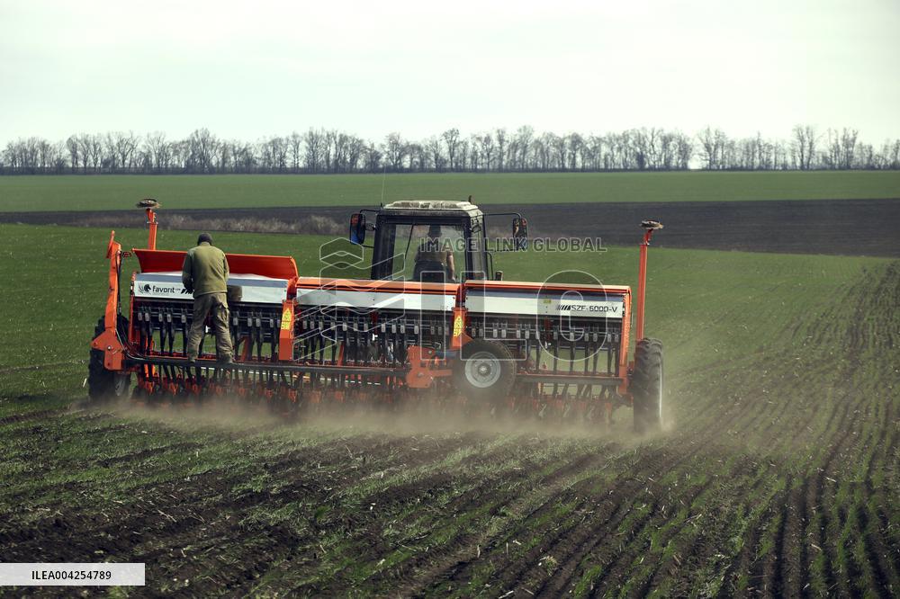 Farming in Kharkiv region despite Russian shelling