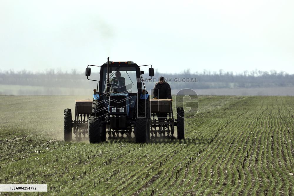 Farming in Kharkiv region despite Russian shelling