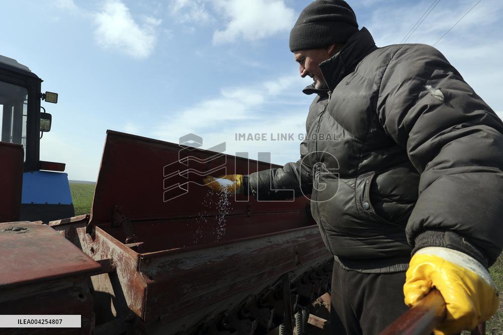 Farming in Kharkiv region despite Russian shelling