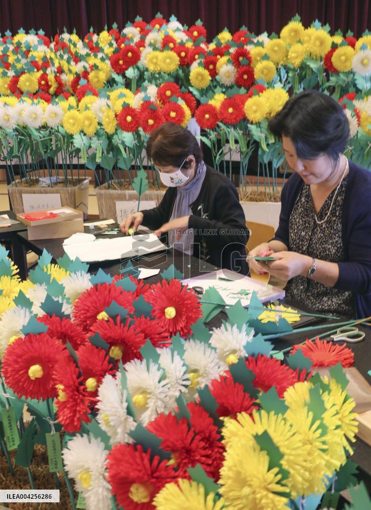 Imitation chrysanthemum production peaks in western Japan