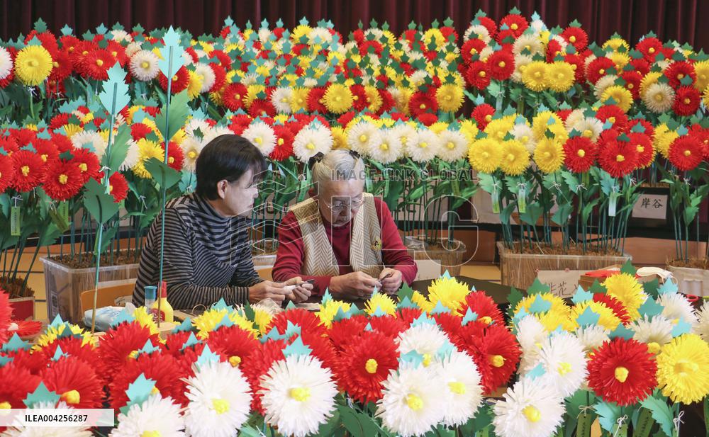 Imitation chrysanthemum production peaks in western Japan