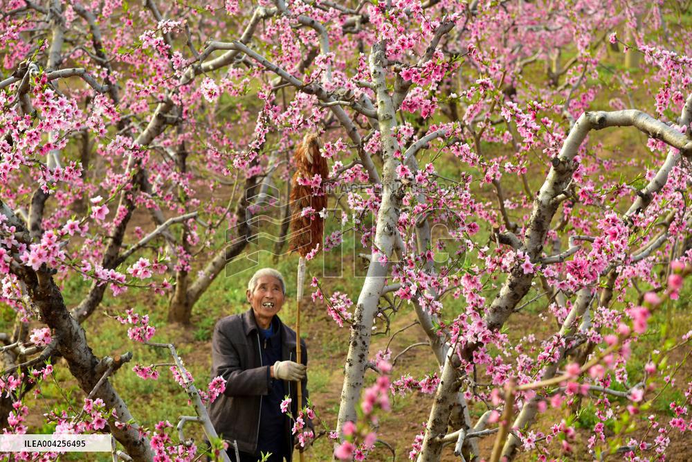 Agricultural Activities