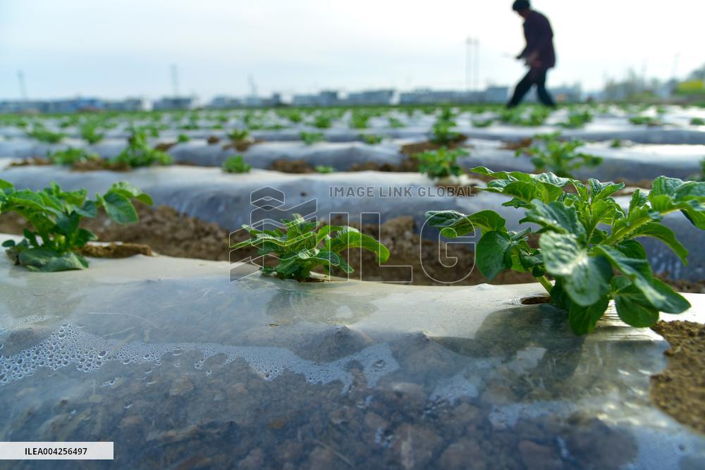 Agricultural Activities