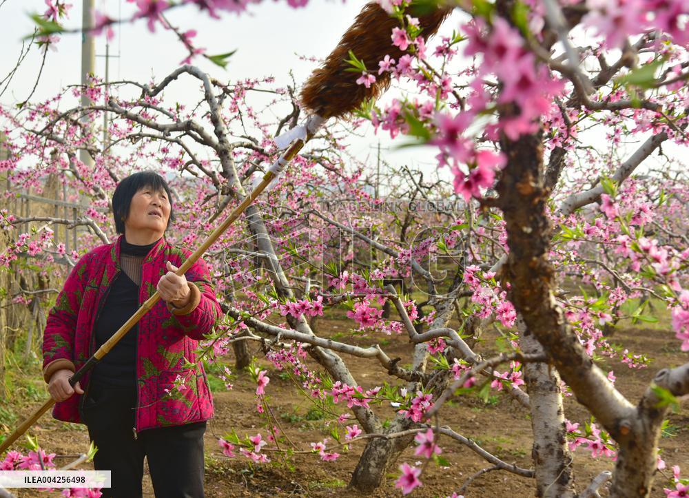 Agricultural Activities
