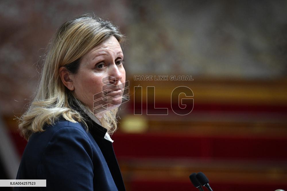 Questions to Government at the National Assembly - Paris