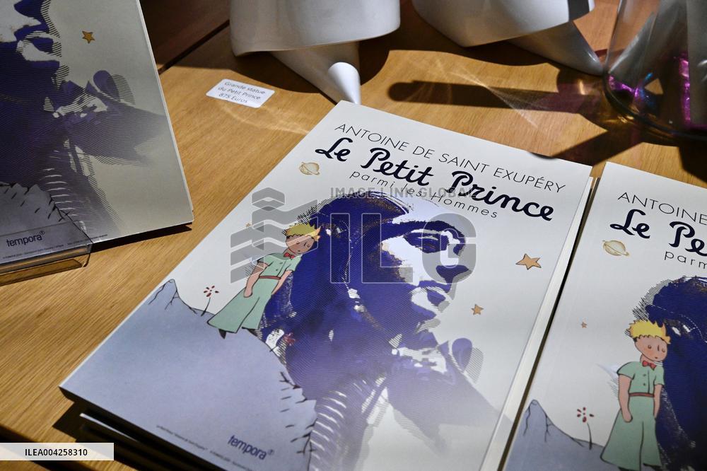 Exhibition on The Little Prince and Antoine de Saint Exupery - Strasbourg
