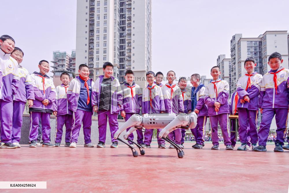 Robot Dog Performance at School in Bazhong
