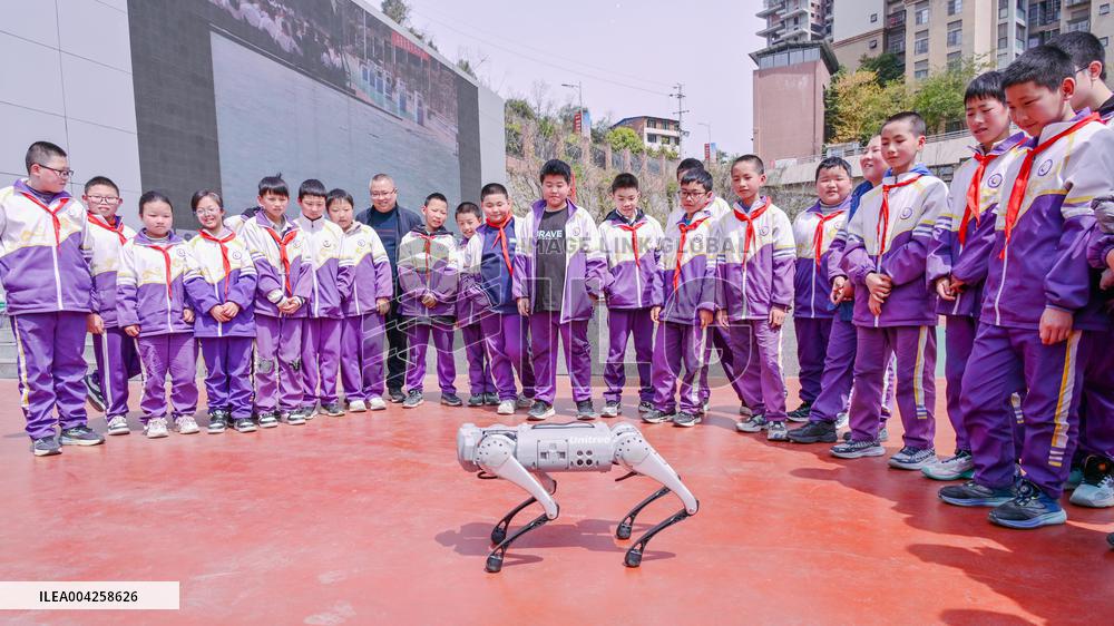 Robot Dog Performance at School in Bazhong