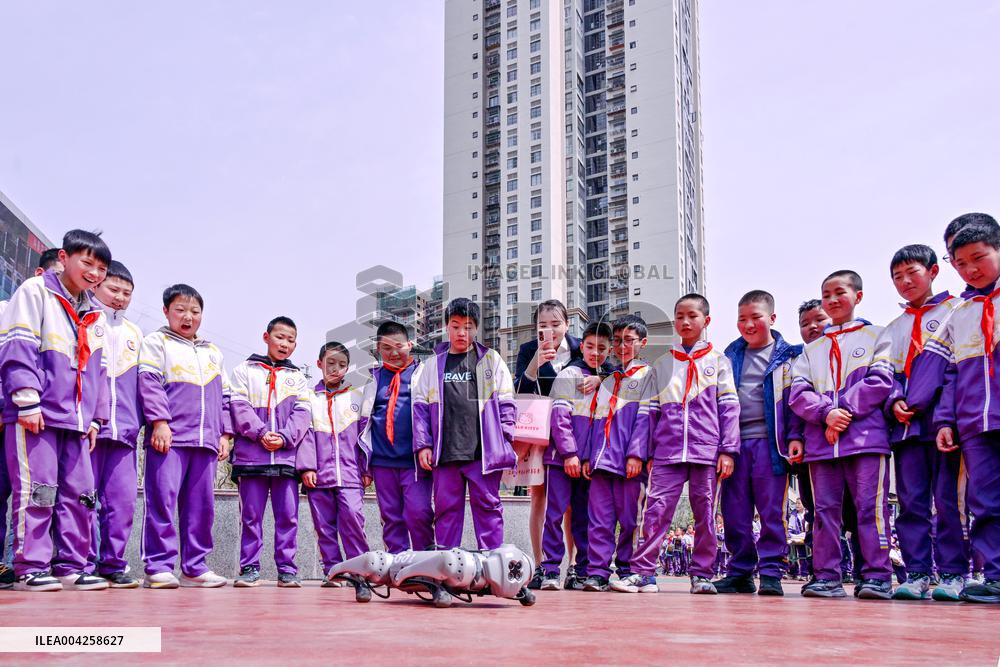 Robot Dog Performance at School in Bazhong