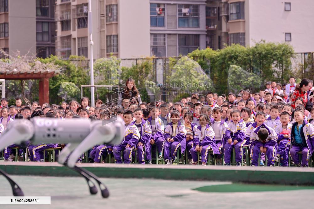 Robot Dog Performance at School in Bazhong