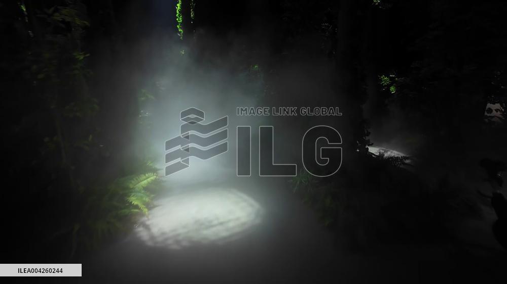 World Exposition in Osaka