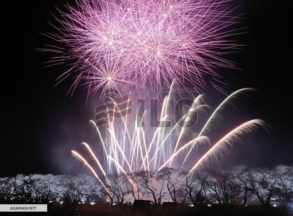Cherry blossom festival near Fukushima plant