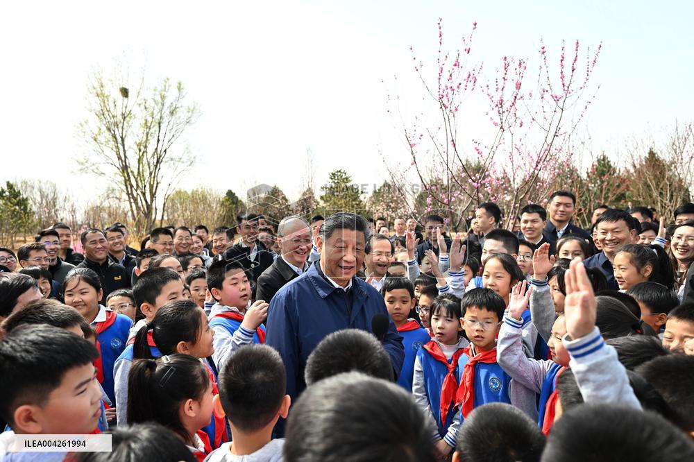 Xi Jinping Attends Voluntary Tree Planting Activity - China