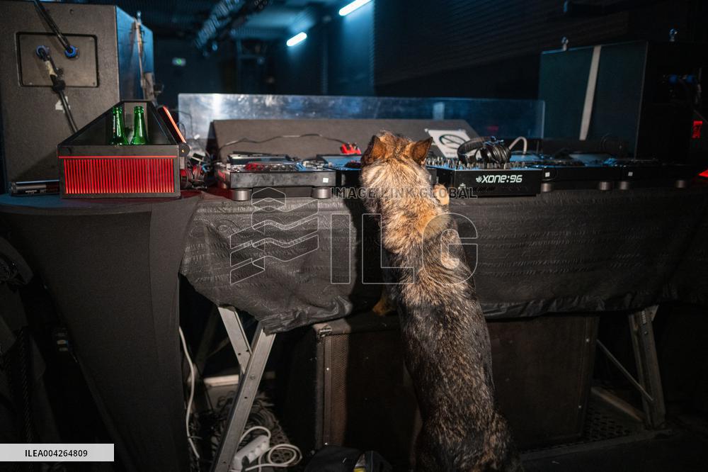 Barcelonas Operation Targets Multi-Recidivism - Barcelona