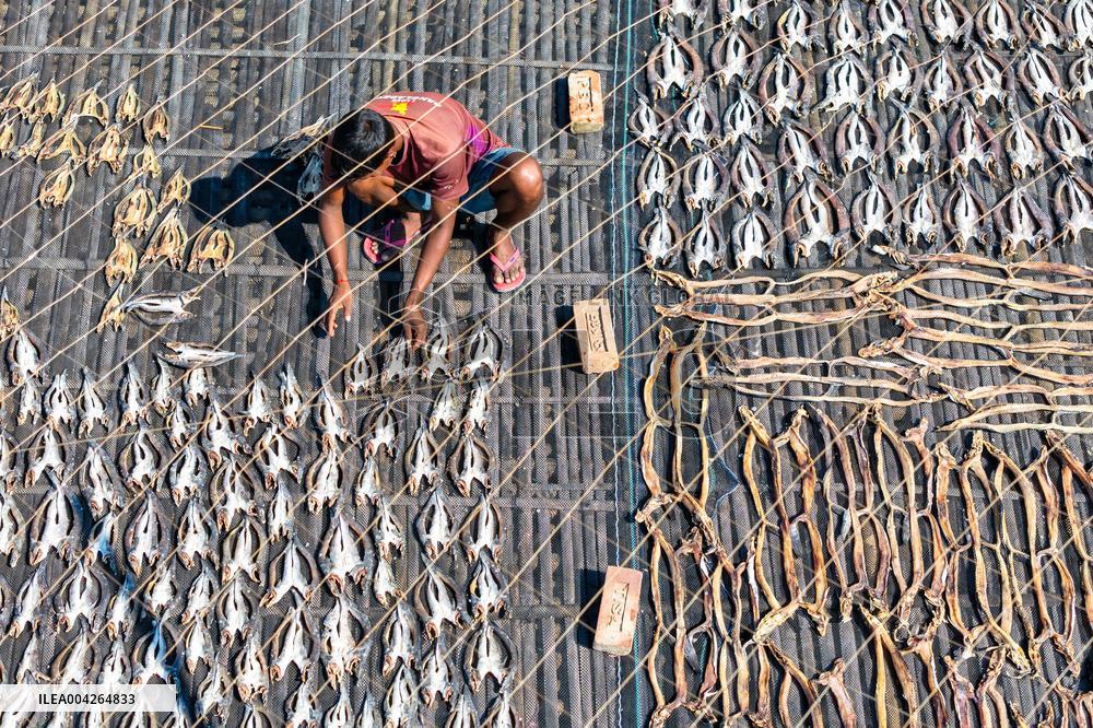 Fishermen During The Dried Fish Process - Bangladesh