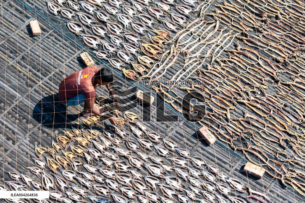 Fishermen During The Dried Fish Process - Bangladesh