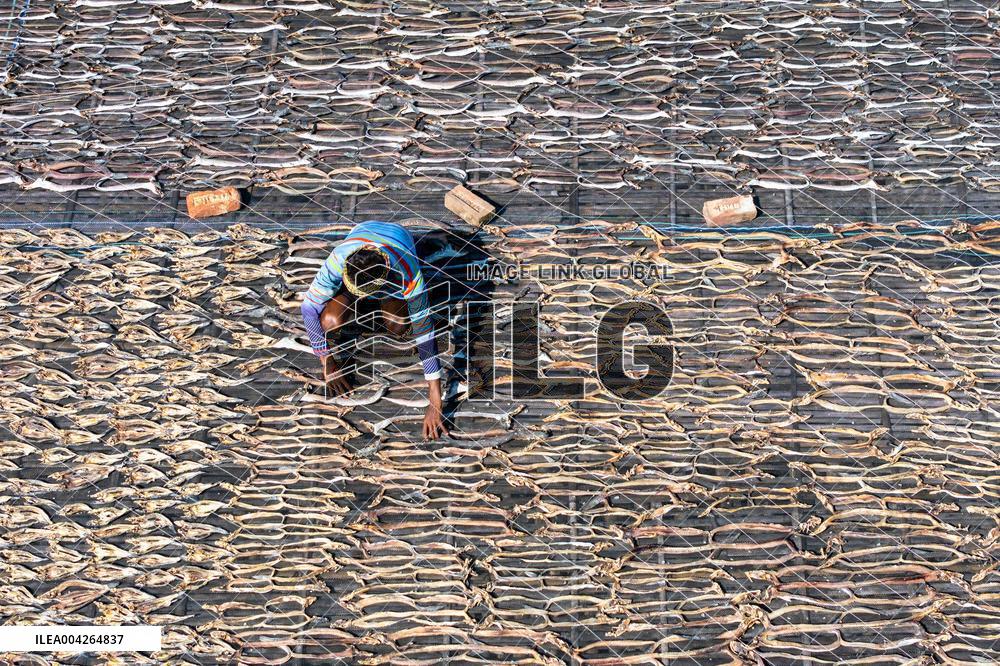 Fishermen During The Dried Fish Process - Bangladesh