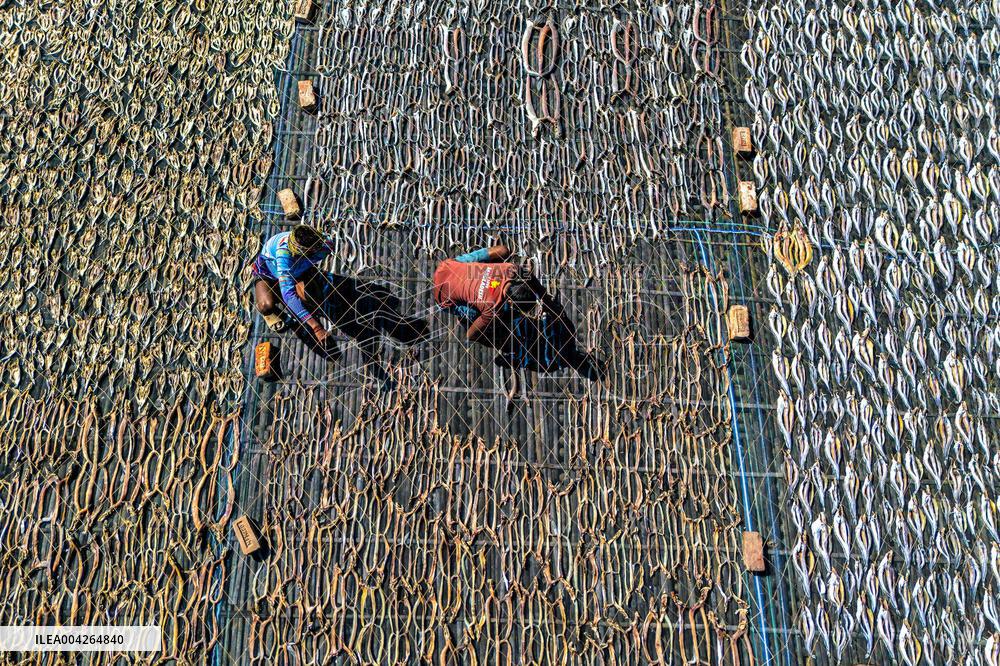 Fishermen During The Dried Fish Process - Bangladesh