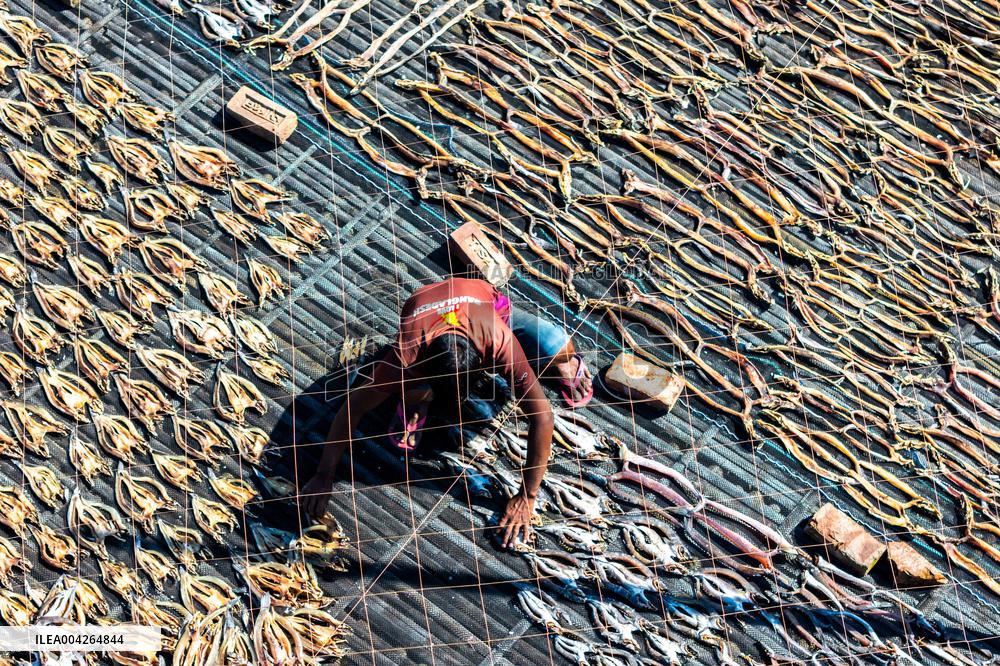 Fishermen During The Dried Fish Process - Bangladesh