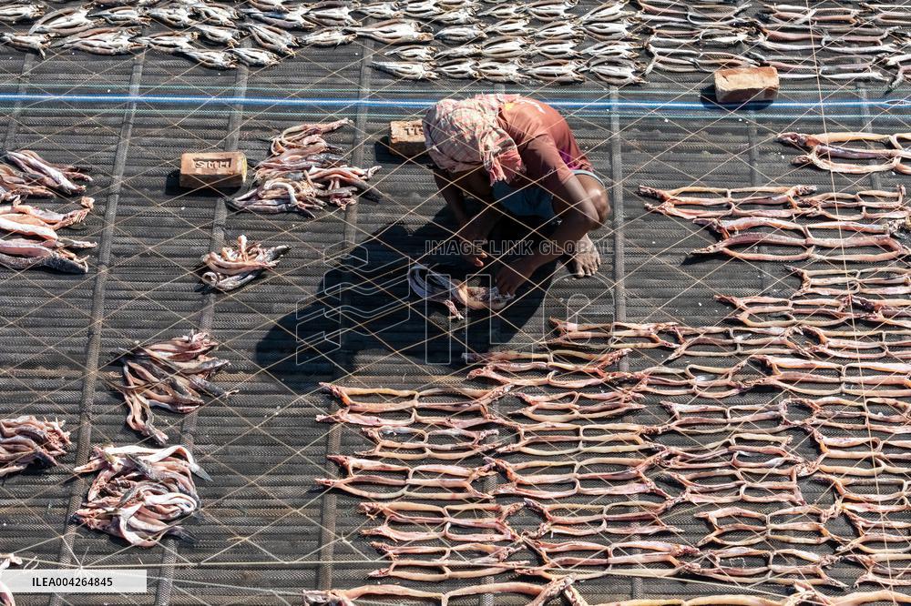 Fishermen During The Dried Fish Process - Bangladesh