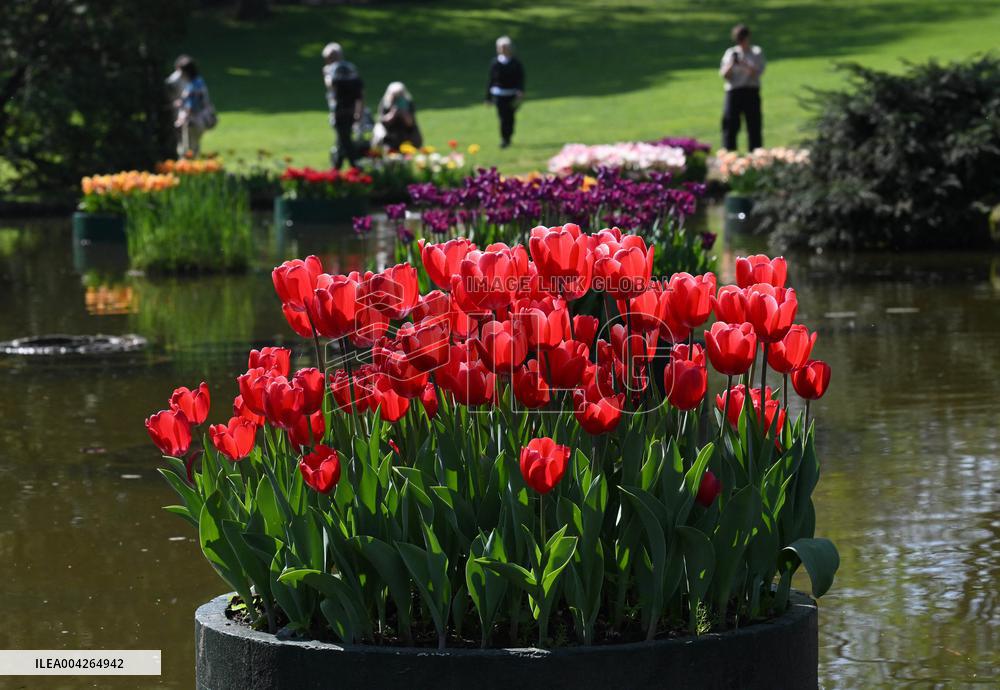 Veronas Floral Awakening - Italy