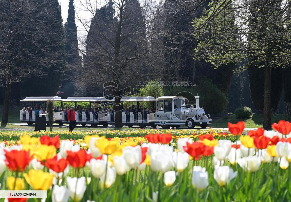 Veronas Floral Awakening - Italy