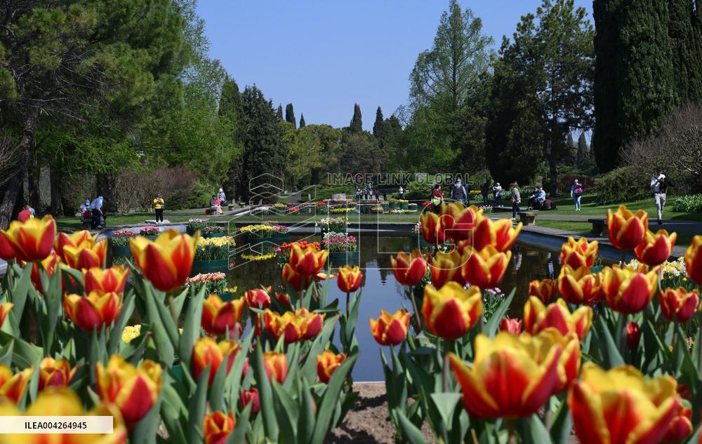 Veronas Floral Awakening - Italy
