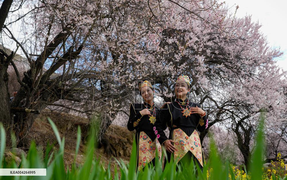 Peach Blossom Festival Blooms in Xizang - China