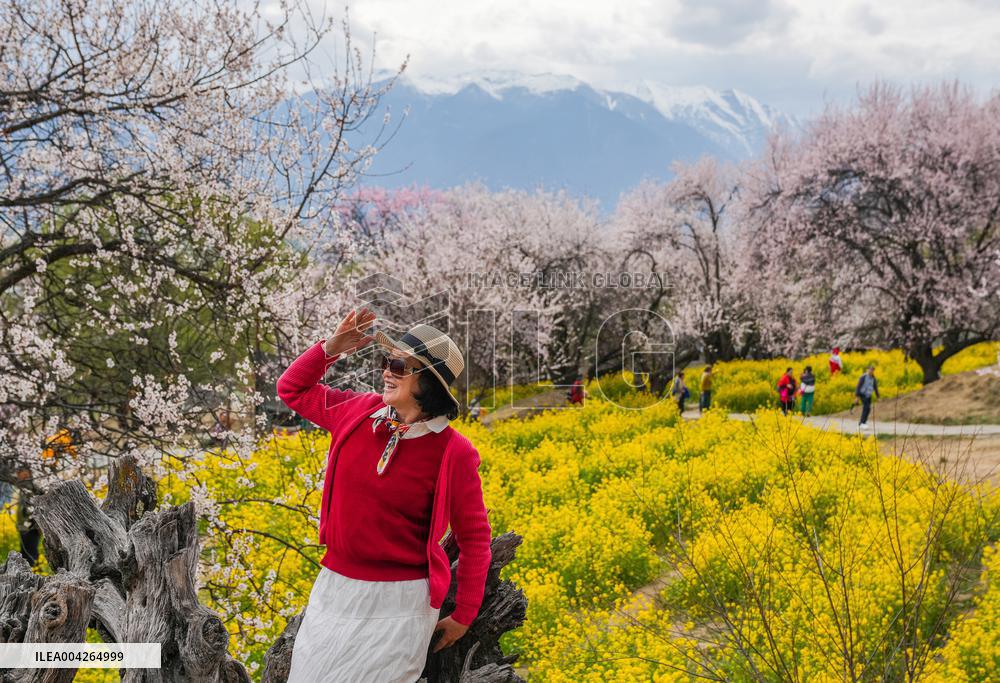 Peach Blossom Festival Blooms in Xizang - China