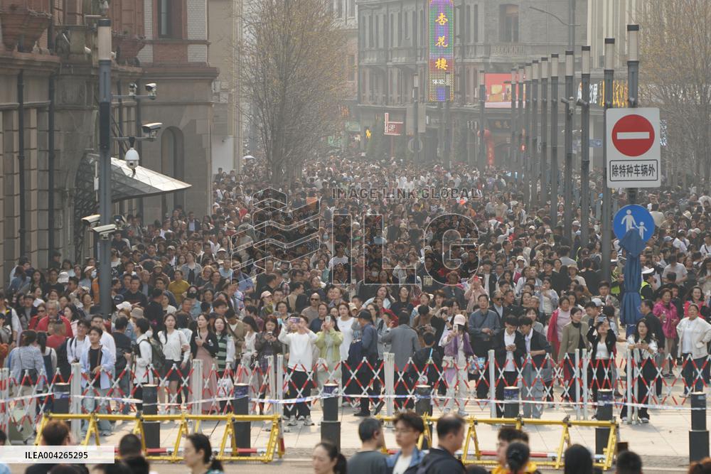 Qingming Festival Holiday Tour Peak in Shanghai