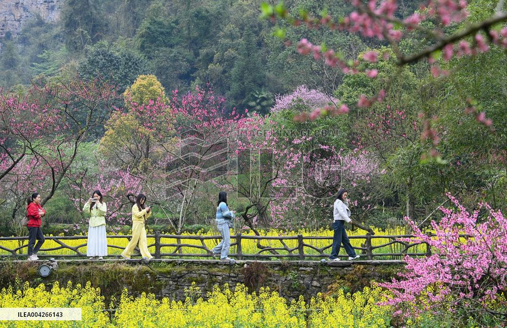 Qingming Festival - China